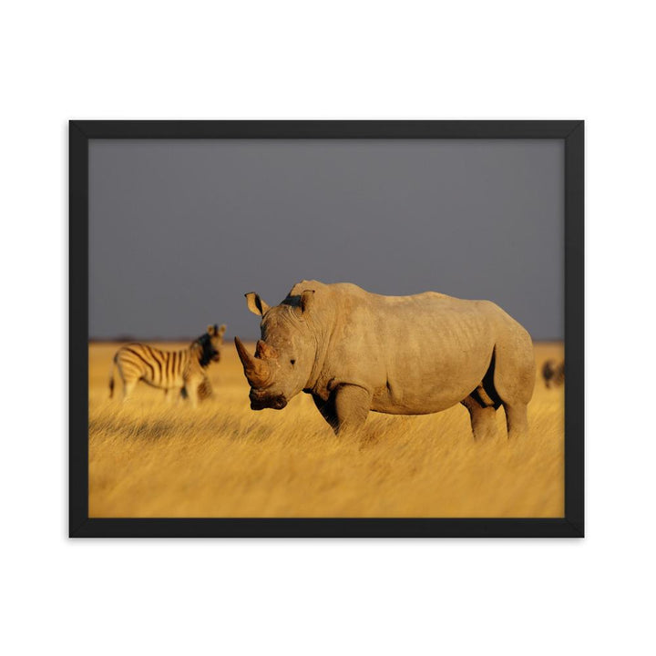 Das Nashorn - Poster im Rahmen schwarz / 41x51 cm artlia