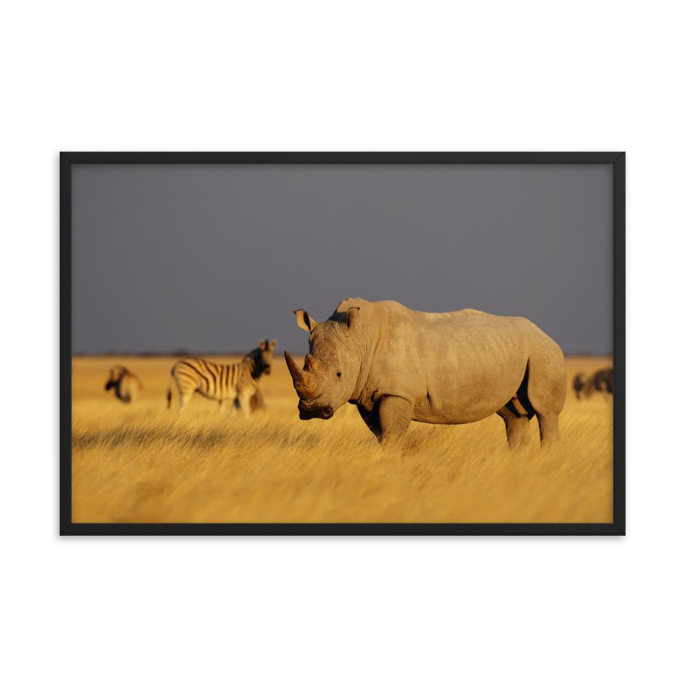 Das Nashorn - Poster im Rahmen schwarz / 61x91 cm artlia