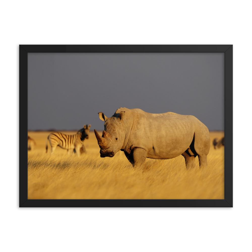 Das Nashorn - Poster im Rahmen weiß / 30x41 cm artlia