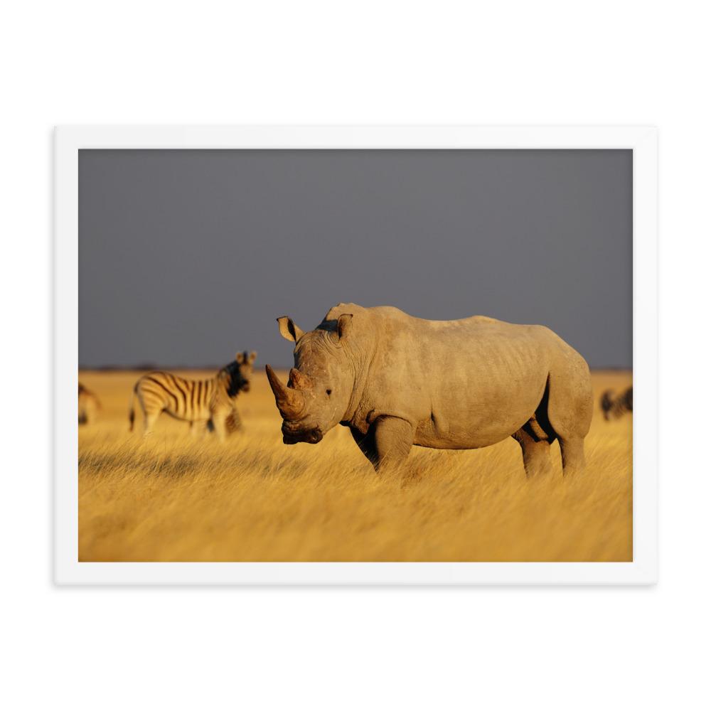 Das Nashorn - Poster im Rahmen weiß / 46x61 cm artlia