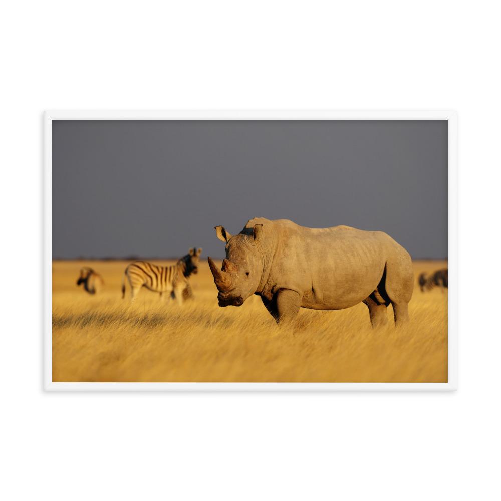 Das Nashorn - Poster im Rahmen weiß / 61x91 cm artlia