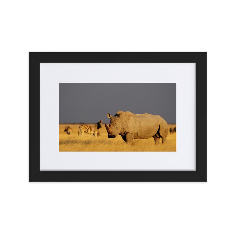 Das Nashorn - Poster im Rahmen mit Passepartout schwarz / 21×30 cm artlia