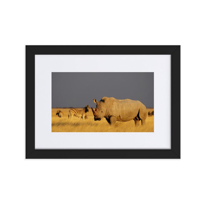 Das Nashorn - Poster im Rahmen mit Passepartout schwarz / 21×30 cm artlia