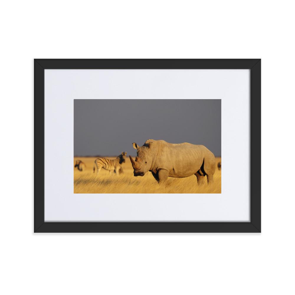 Das Nashorn - Poster im Rahmen mit Passepartout schwarz / 30×40 cm artlia