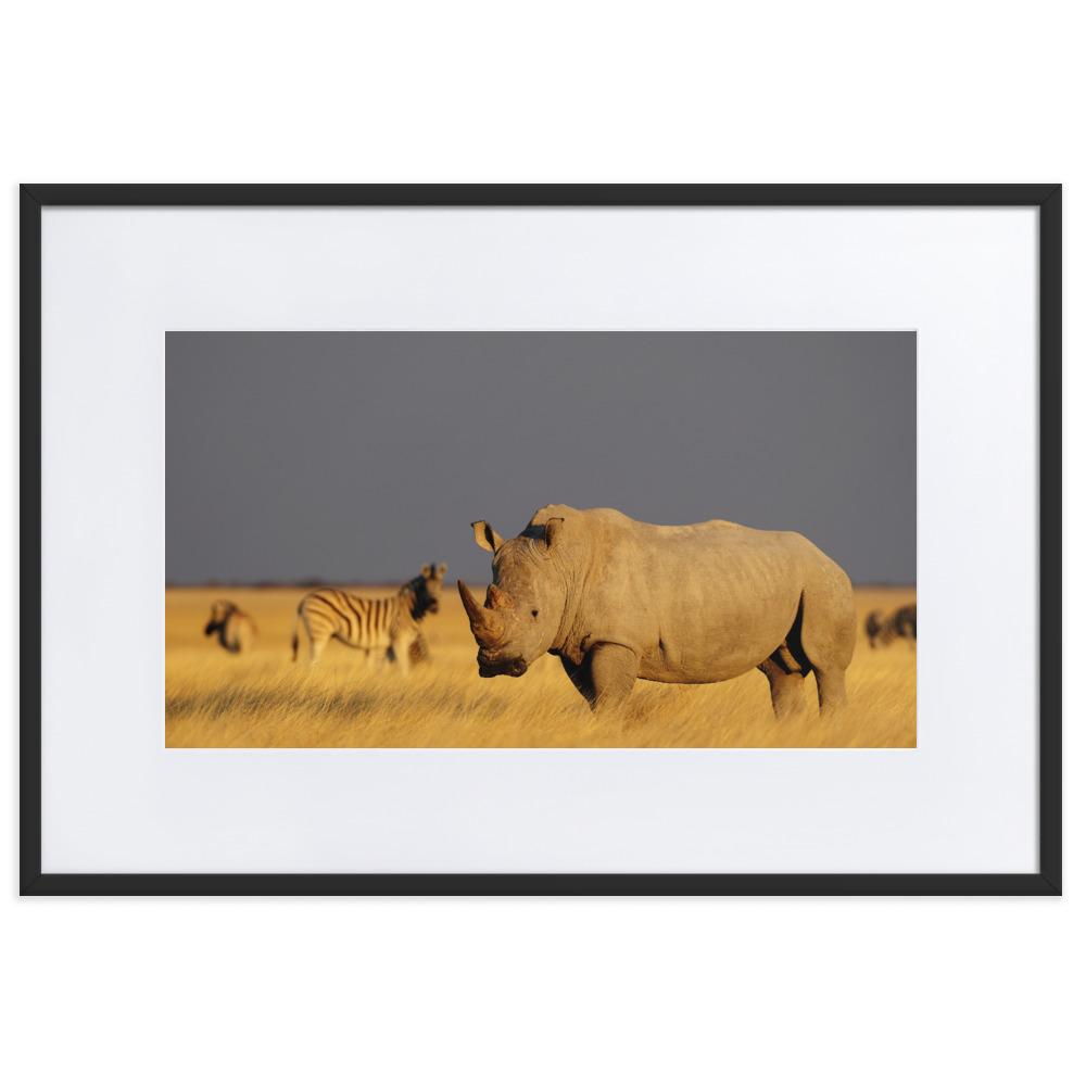 Das Nashorn - Poster im Rahmen mit Passepartout schwarz / 61×91 cm artlia
