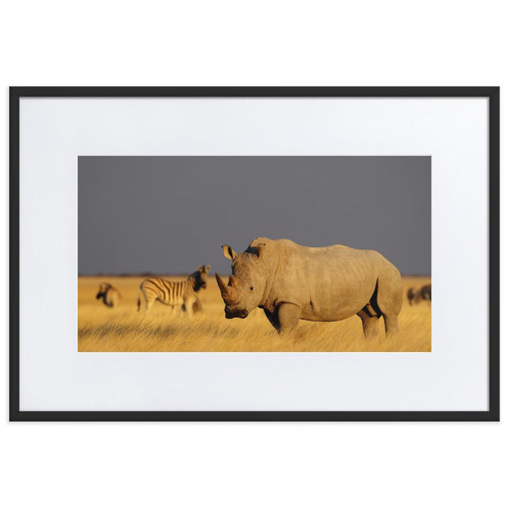 Das Nashorn - Poster im Rahmen mit Passepartout schwarz / 61×91 cm artlia