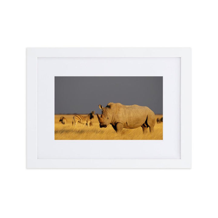 Das Nashorn - Poster im Rahmen mit Passepartout weiß / 21×30 cm artlia