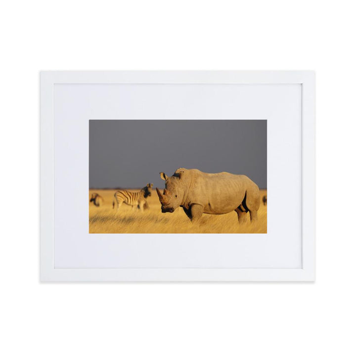 Das Nashorn - Poster im Rahmen mit Passepartout weiß / 30×40 cm artlia