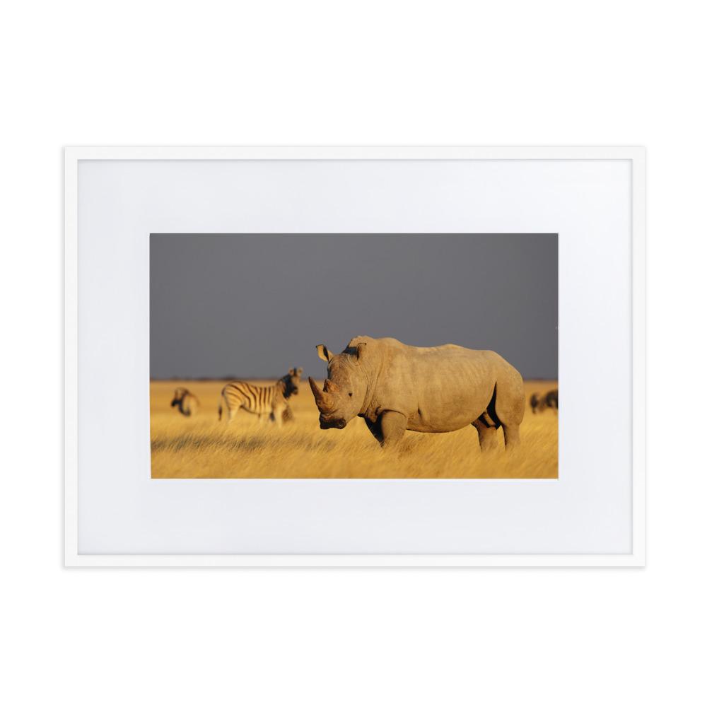 Das Nashorn - Poster im Rahmen mit Passepartout weiß / 50×70 cm artlia