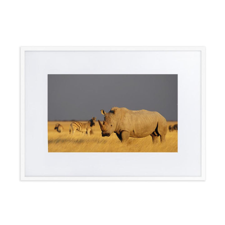 Das Nashorn - Poster im Rahmen mit Passepartout weiß / 50×70 cm artlia