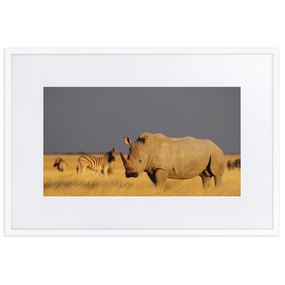 Das Nashorn - Poster im Rahmen mit Passepartout weiß / 61×91 cm artlia