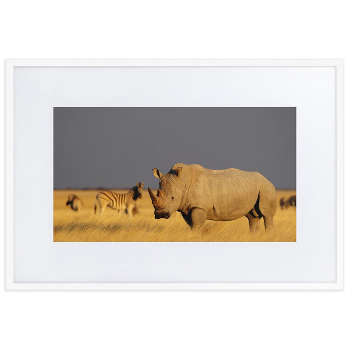 Das Nashorn - Poster im Rahmen mit Passepartout weiß / 61×91 cm artlia