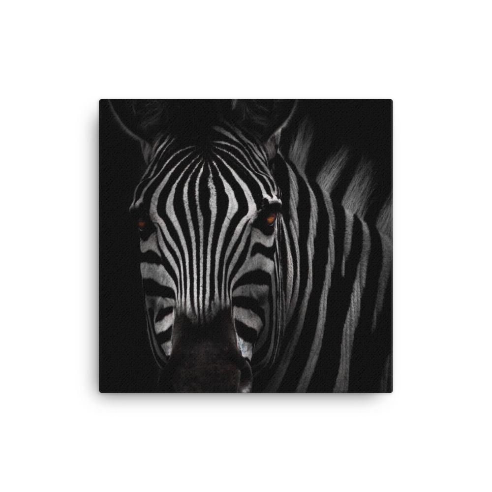 das Starren des Zebras - Leinwand 30x30 cm artlia