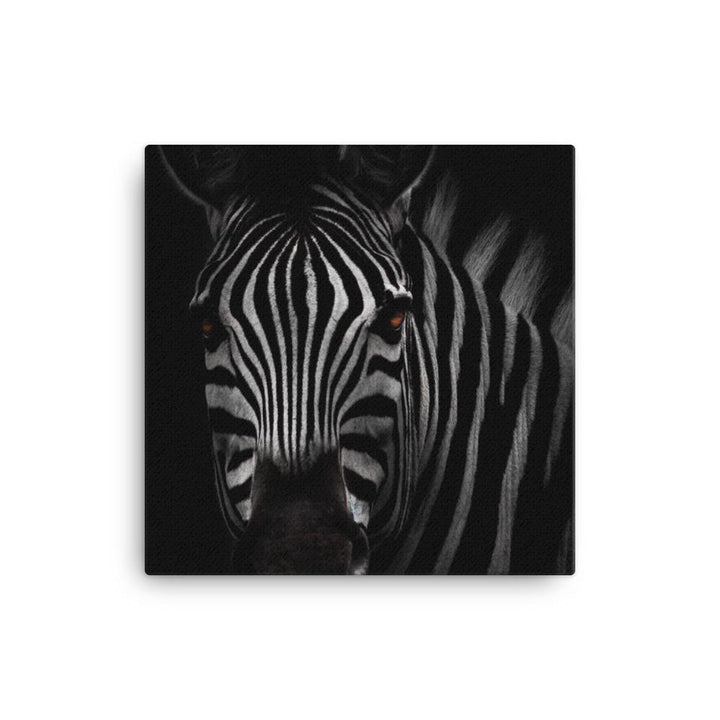 das Starren des Zebras - Leinwand 30x30 cm artlia