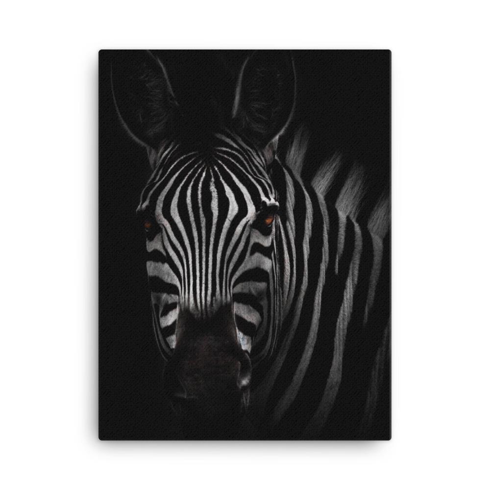 das Starren des Zebras - Leinwand 30x41 cm artlia
