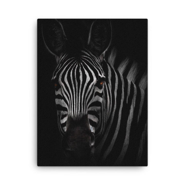 das Starren des Zebras - Leinwand 30x41 cm artlia
