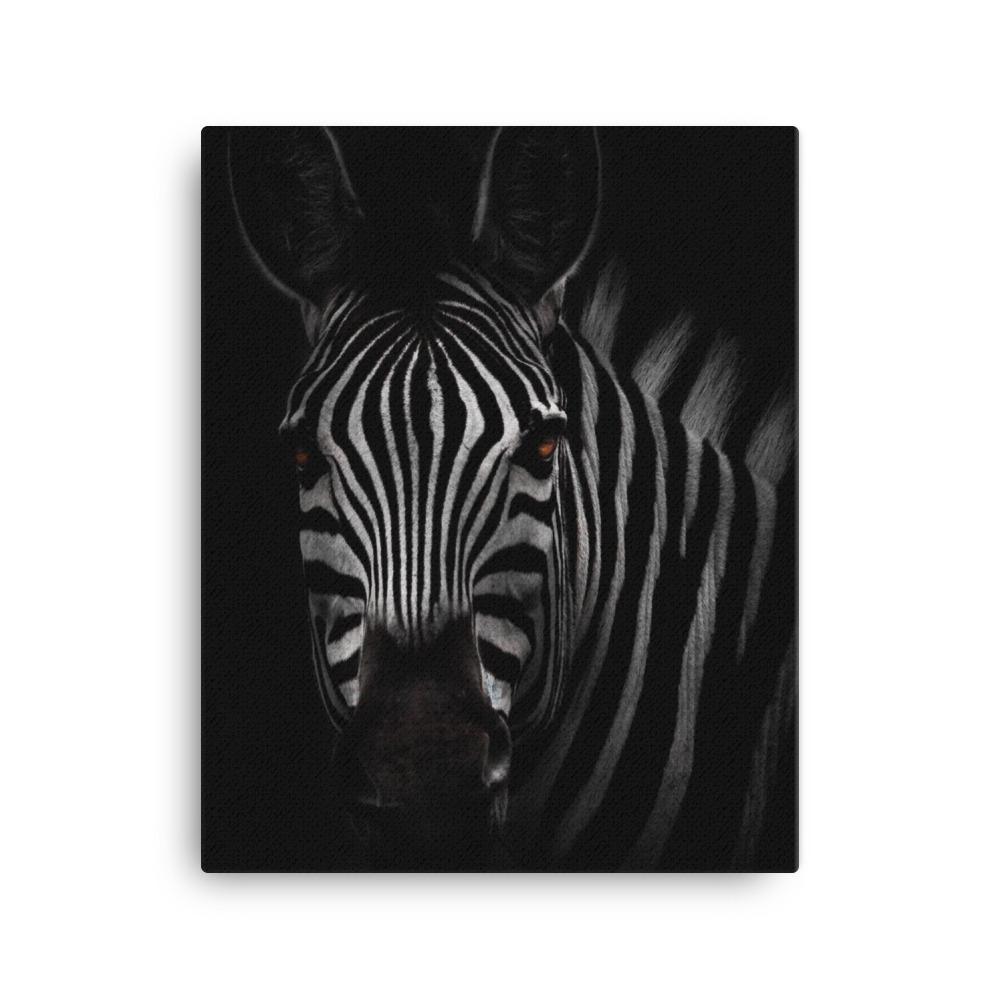 das Starren des Zebras - Leinwand 41x51 cm artlia