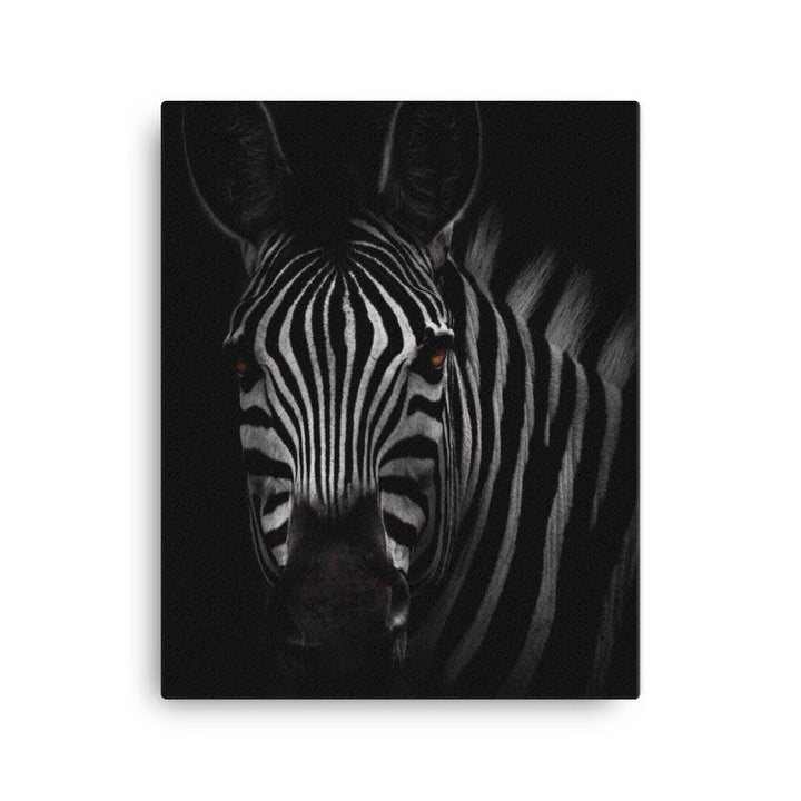 das Starren des Zebras - Leinwand 41x51 cm artlia