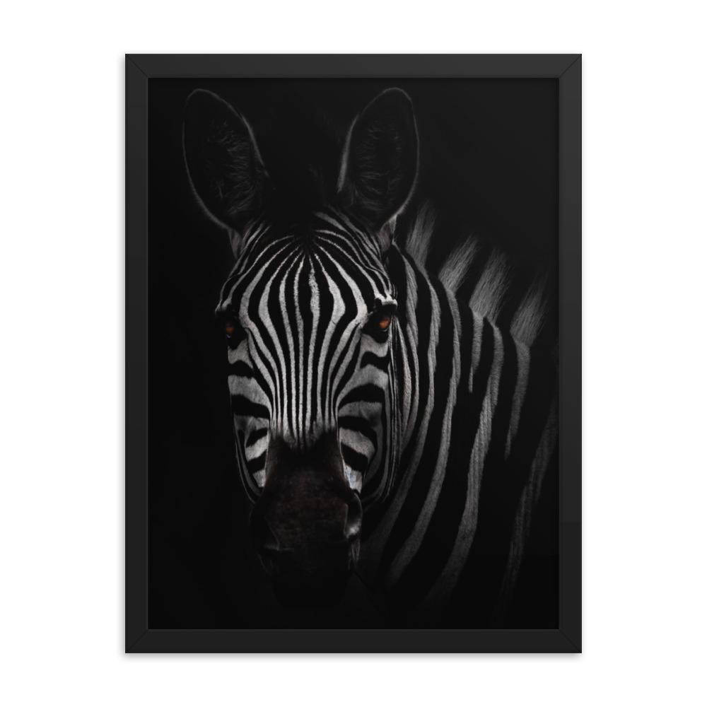 das Starren des Zebras - Poster im Rahmen schwarz / 30x41 cm artlia