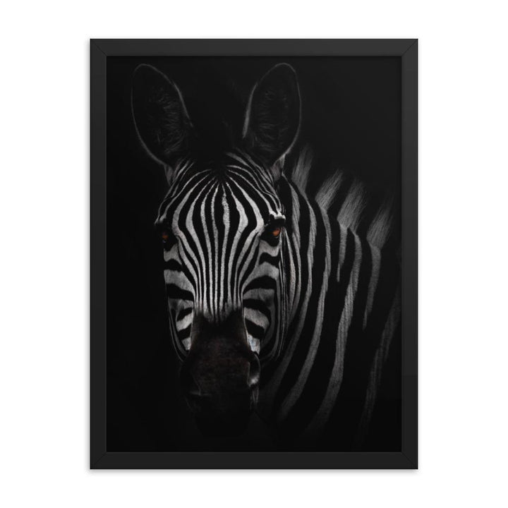 das Starren des Zebras - Poster im Rahmen schwarz / 30x41 cm artlia
