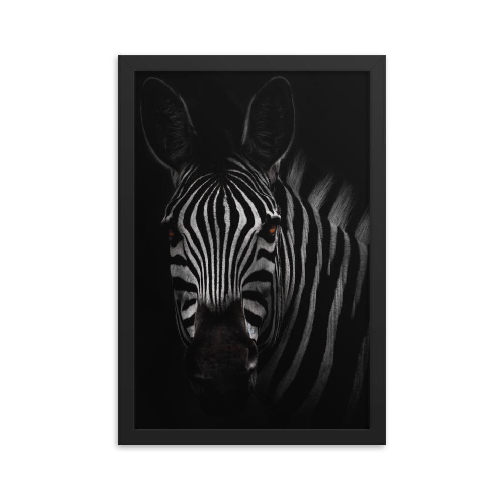 das Starren des Zebras - Poster im Rahmen schwarz / 30x45 cm artlia