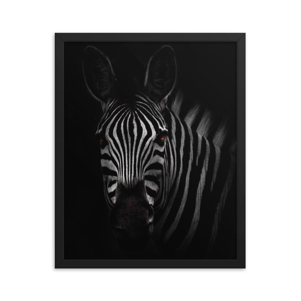 das Starren des Zebras - Poster im Rahmen schwarz / 41x51 cm artlia
