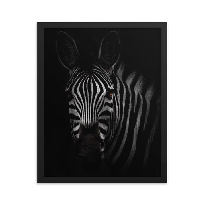 das Starren des Zebras - Poster im Rahmen schwarz / 41x51 cm artlia