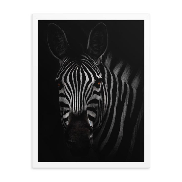 das Starren des Zebras - Poster im Rahmen weiß / 30x41 cm artlia