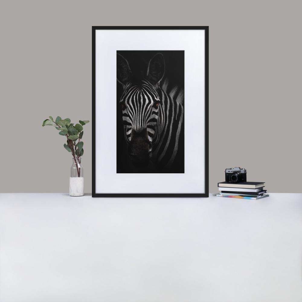 das Starren des Zebras - Poster im Rahmen mit Passepartout artlia