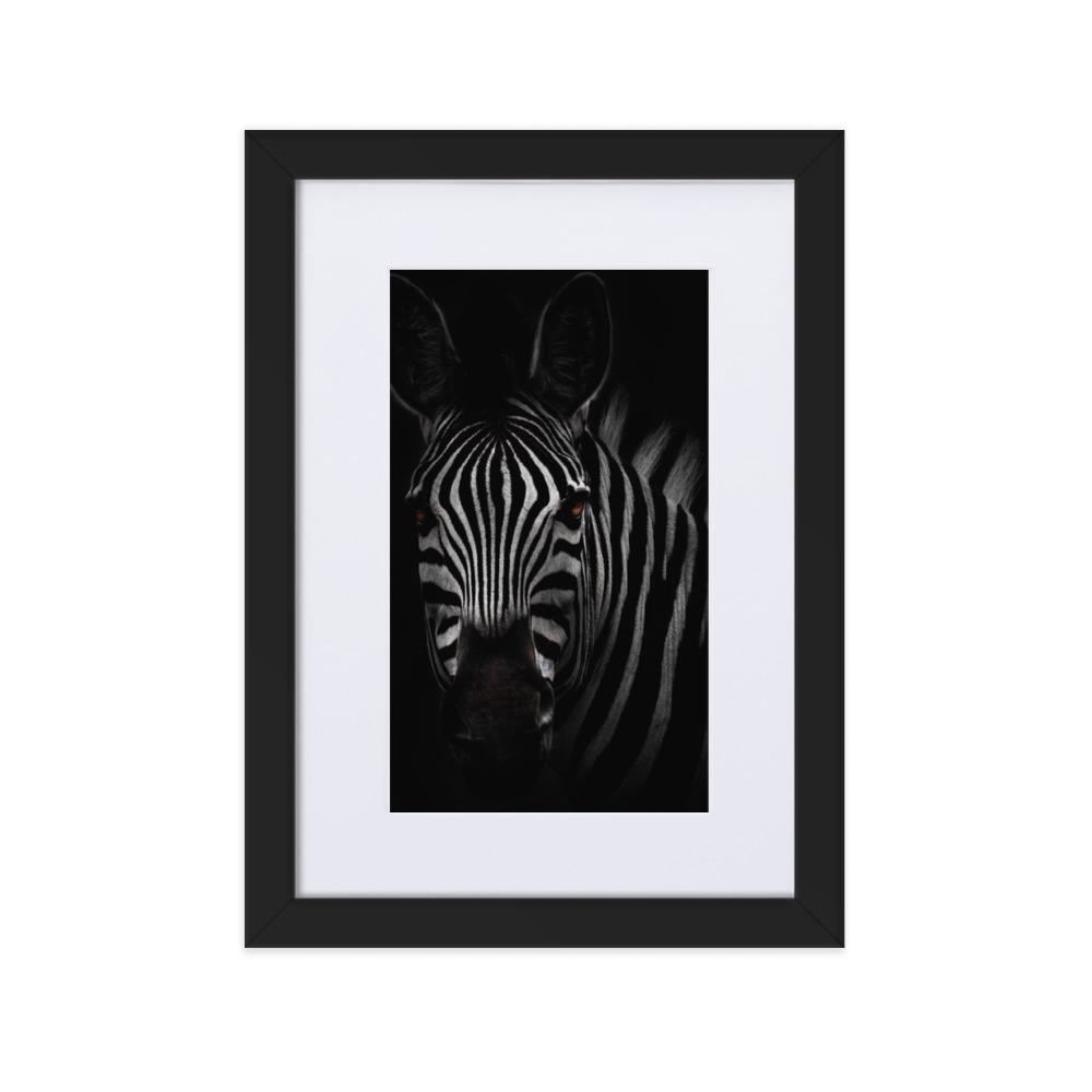das Starren des Zebras - Poster im Rahmen mit Passepartout schwarz / 21×30 cm artlia