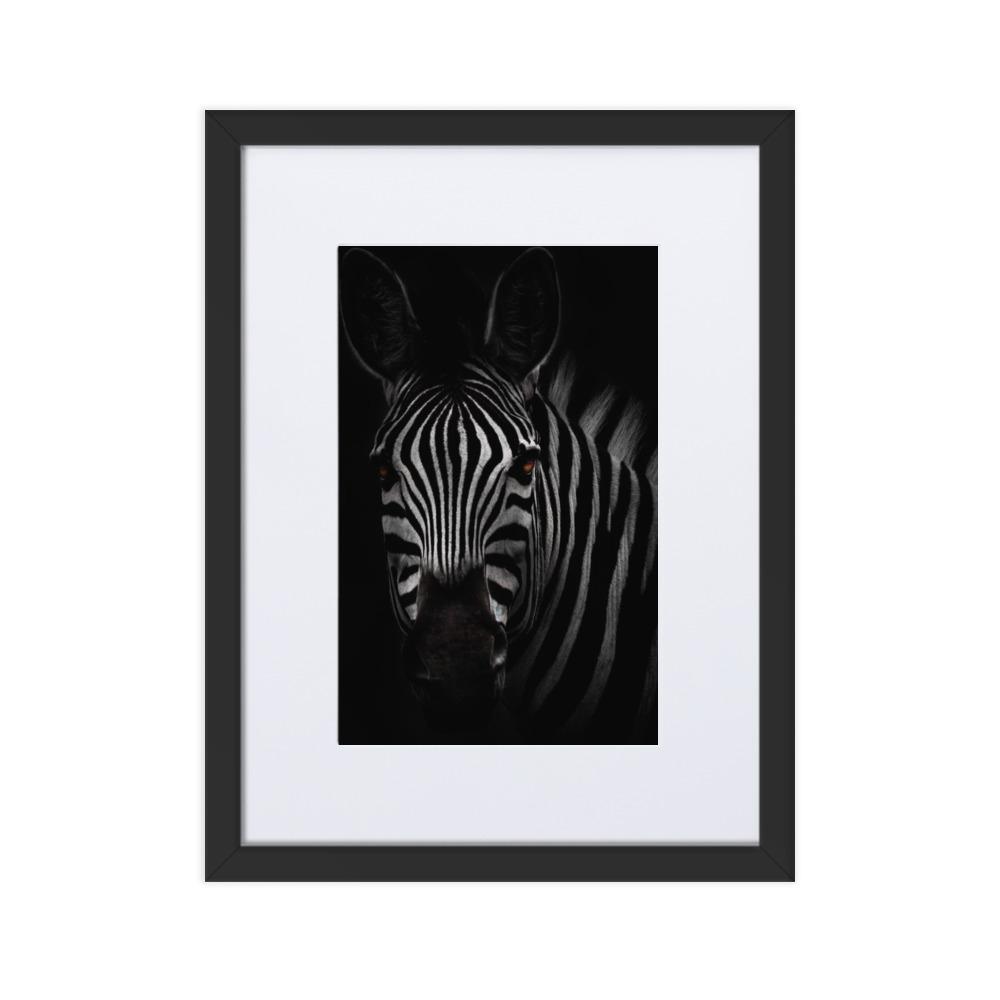 das Starren des Zebras - Poster im Rahmen mit Passepartout schwarz / 30×40 cm artlia
