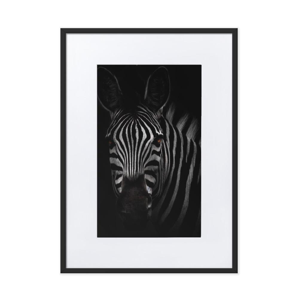das Starren des Zebras - Poster im Rahmen mit Passepartout schwarz / 50×70 cm artlia