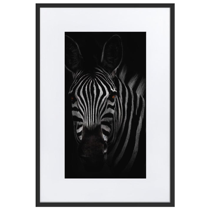 das Starren des Zebras - Poster im Rahmen mit Passepartout schwarz / 61×91 cm artlia