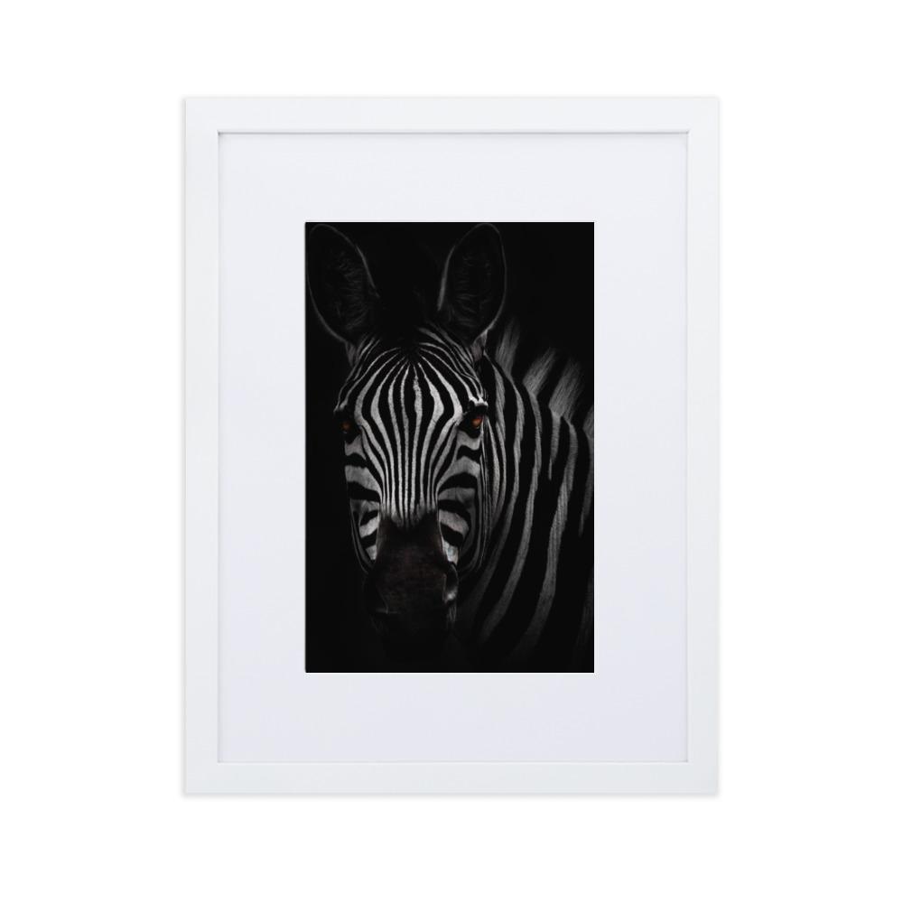 das Starren des Zebras - Poster im Rahmen mit Passepartout weiß / 30×40 cm artlia