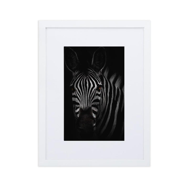 das Starren des Zebras - Poster im Rahmen mit Passepartout weiß / 30×40 cm artlia