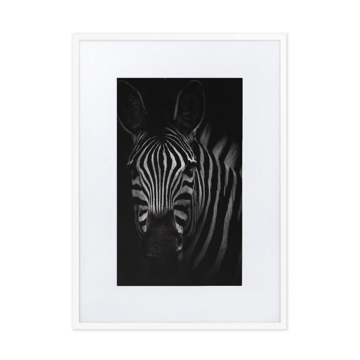das Starren des Zebras - Poster im Rahmen mit Passepartout weiß / 50×70 cm artlia
