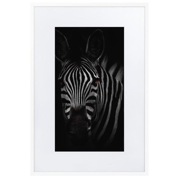 das Starren des Zebras - Poster im Rahmen mit Passepartout weiß / 61×91 cm artlia