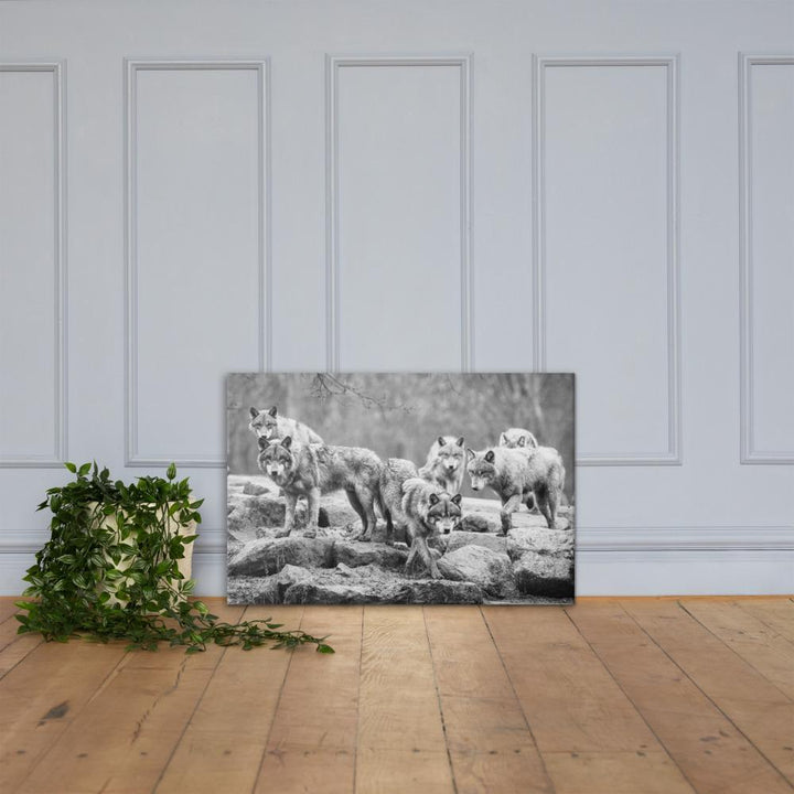 Der Anführer des Rudels - Leinwand artlia