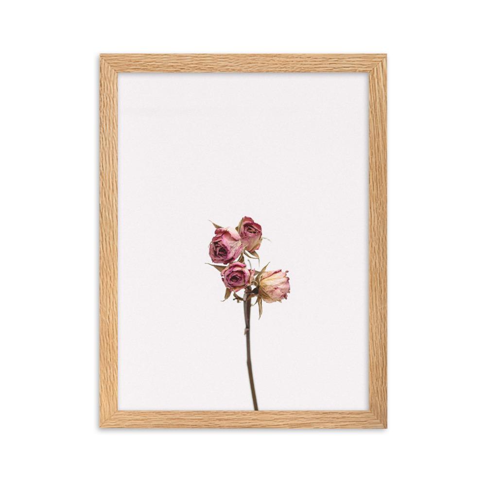Trockenrosen - Poster im Rahmen Oak / 30×40 cm artlia