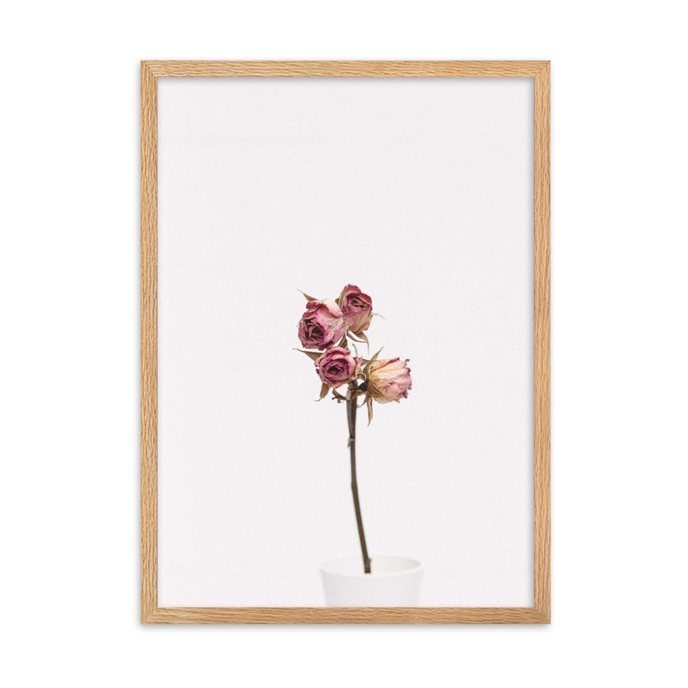 Trockenrosen - Poster im Rahmen Oak / 50×70 cm artlia