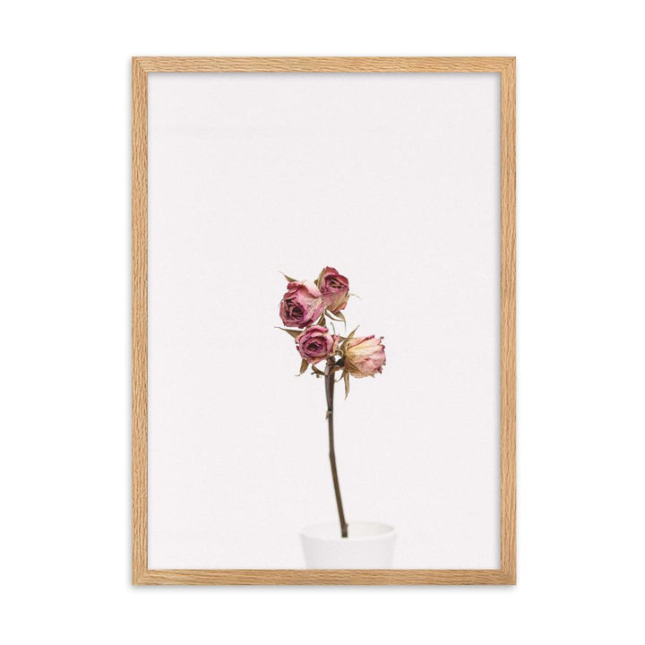 Trockenrosen - Poster im Rahmen Oak / 50×70 cm artlia