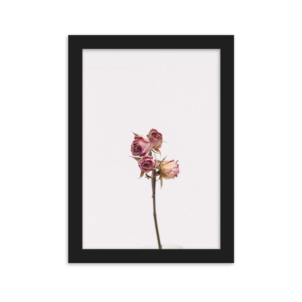 Trockenrosen - Poster im Rahmen Schwarz / 21×30 cm artlia