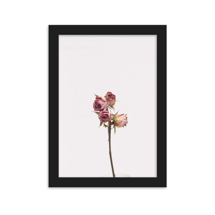 Trockenrosen - Poster im Rahmen Schwarz / 21×30 cm artlia