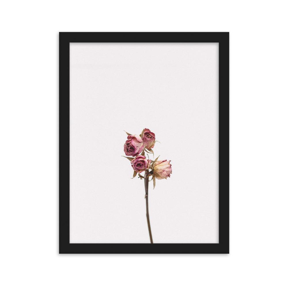 Trockenrosen - Poster im Rahmen Schwarz / 30×40 cm artlia
