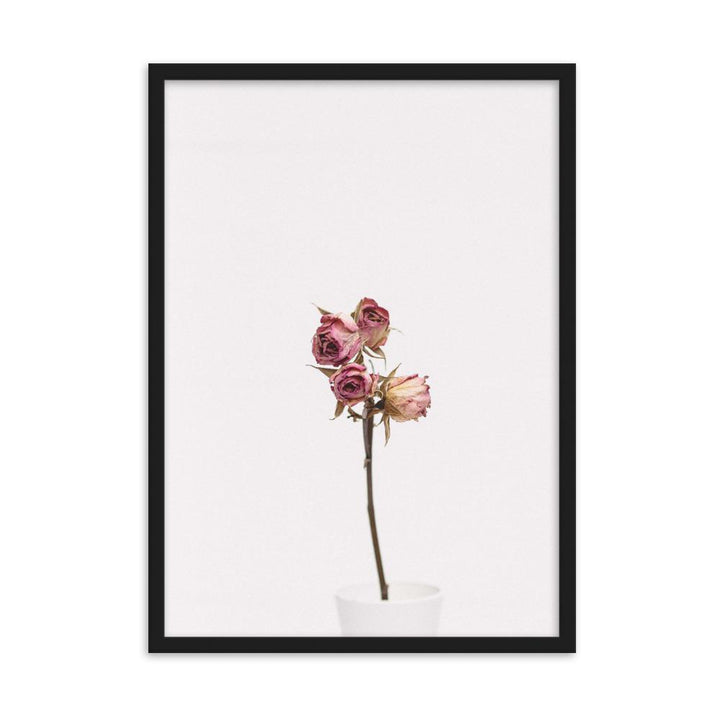 Trockenrosen - Poster im Rahmen Schwarz / 50×70 cm artlia