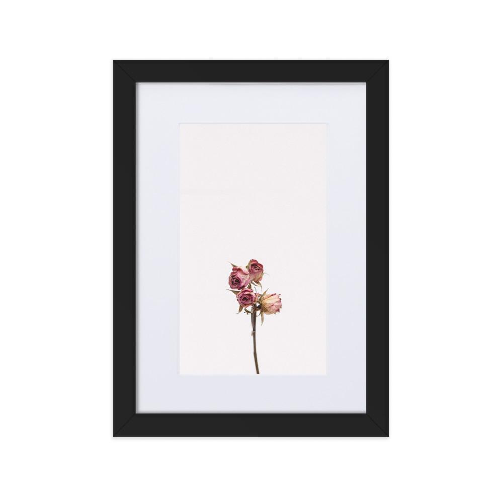 Trockenrosen - Poster im Rahmen mit Passepartout Schwarz / 21×30 cm artlia