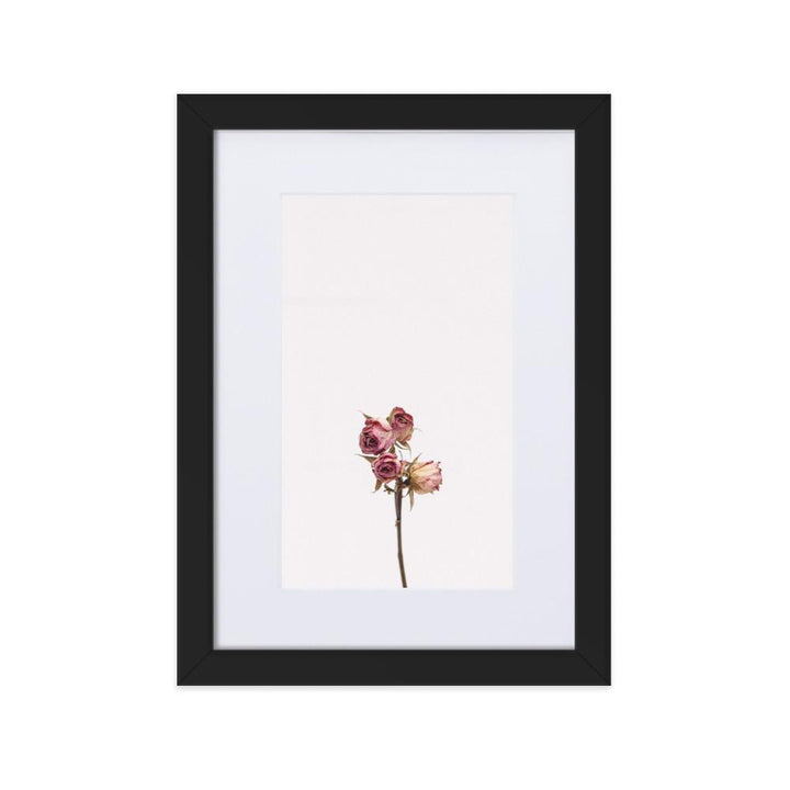 Trockenrosen - Poster im Rahmen mit Passepartout Schwarz / 21×30 cm artlia