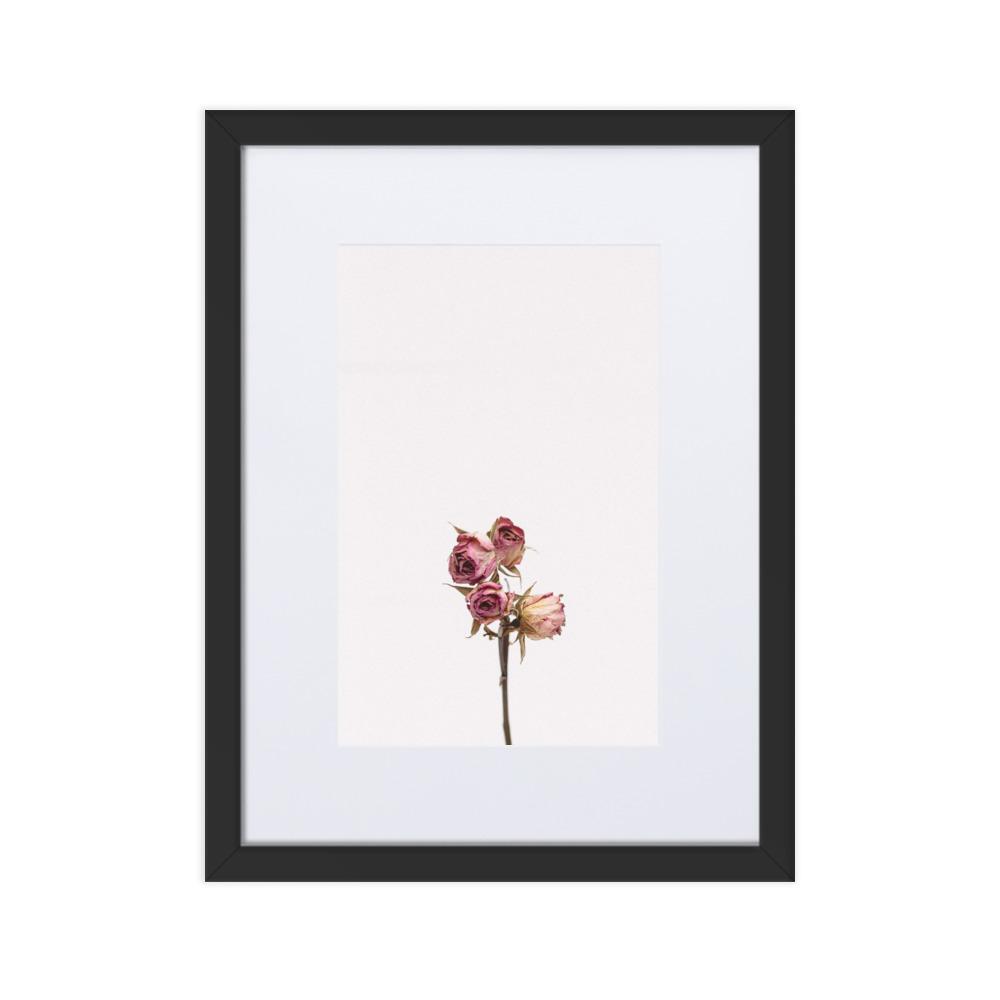 Trockenrosen - Poster im Rahmen mit Passepartout Schwarz / 30×40 cm artlia