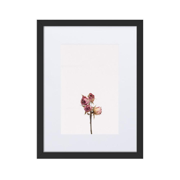Trockenrosen - Poster im Rahmen mit Passepartout Schwarz / 30×40 cm artlia
