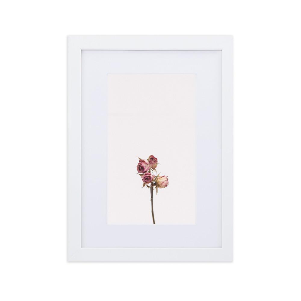 Trockenrosen - Poster im Rahmen mit Passepartout Weiß / 21×30 cm artlia
